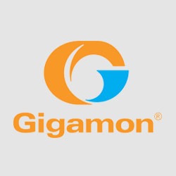 Gigamon